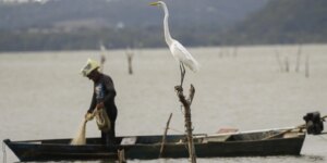 mudancas-aprovadas-para-o-seguro-defeso-previnem-fraudes,-diz-relator