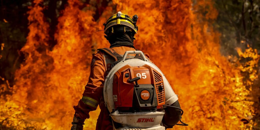 el-nino-leva-stf-a-cobrar-plano-contra-incendios-na-amazonia-legal