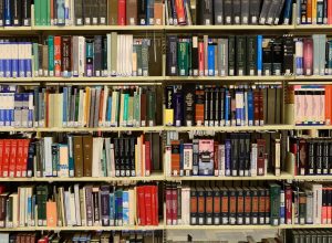 mec-livros-ja-teve-quase-300-mil-acessos-a-obras-online