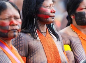 campanha-vai-aplicar-89-mil-doses-de-vacinas-em-territorios-indigenas