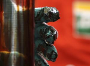 brasil-pode-perder-r$-47-bi-ao-priorizar-petroleo-na-foz-do-amazonas