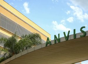 anvisa-suspende-lote-de-medicamentos-para-hipertensao-e-cancer-de-mama